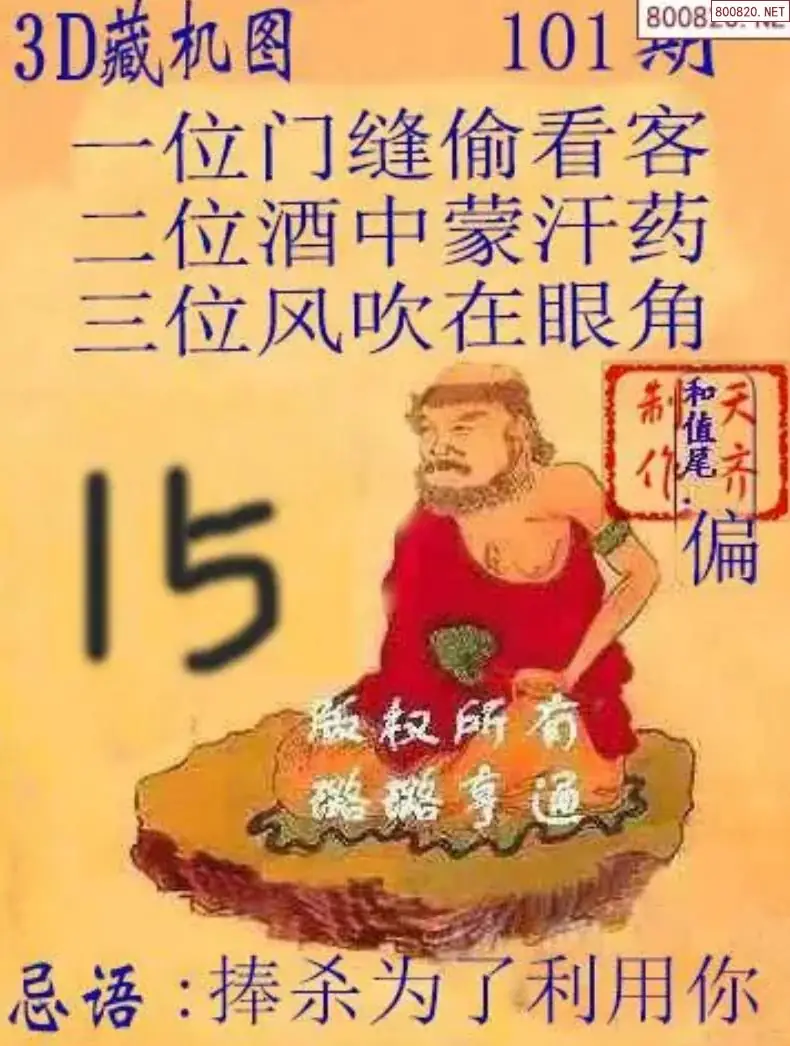 天齐3D藏机图