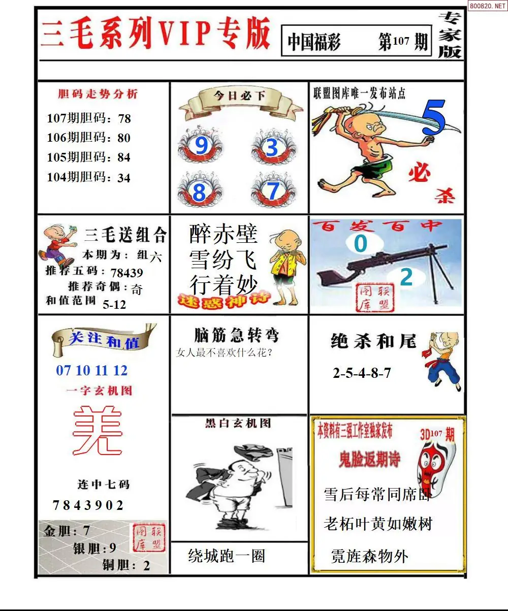 三毛系列VIP专版