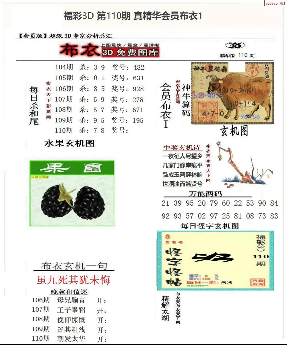 真精华会员布衣1