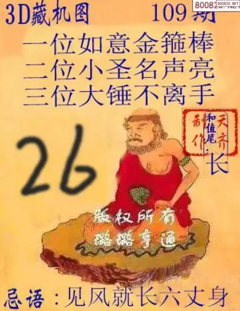 天齐3D藏机图