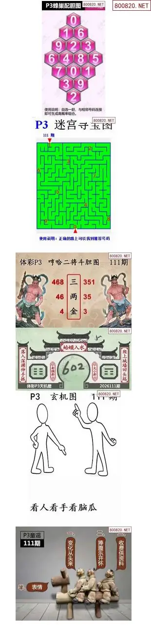 蜂巢天机图谜