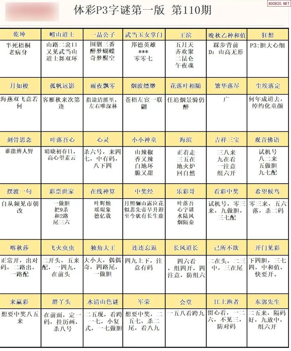 P3字谜彩报