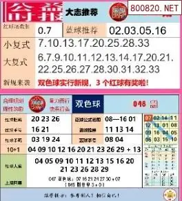 胖哥推荐