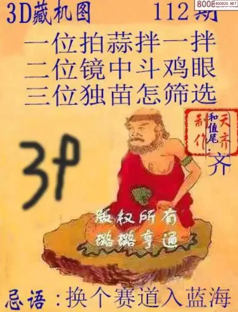 天齐3D藏机图