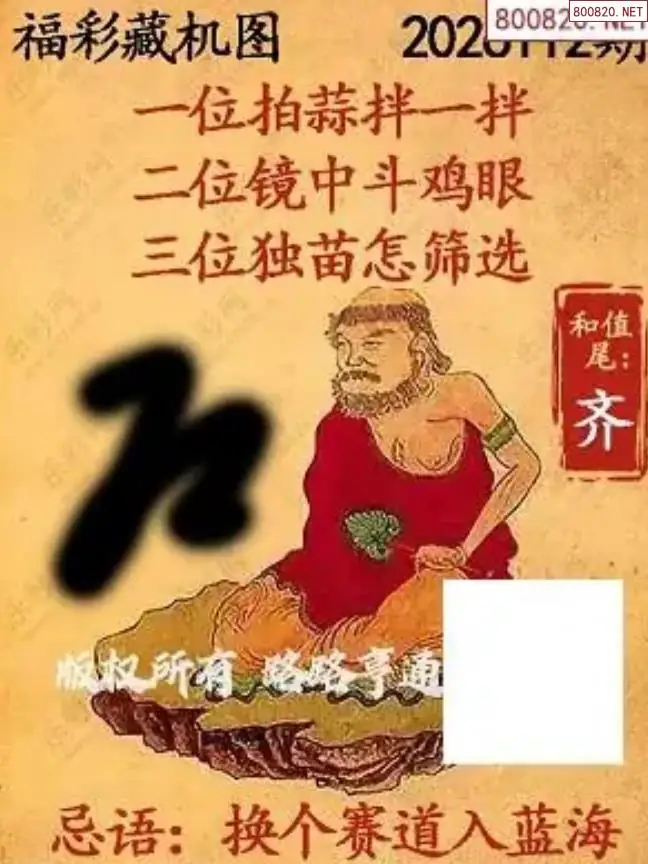 乐彩3D藏机图