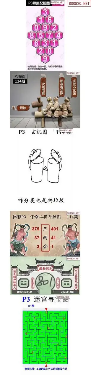 蜂巢天机图谜