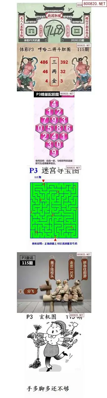 蜂巢天机图谜