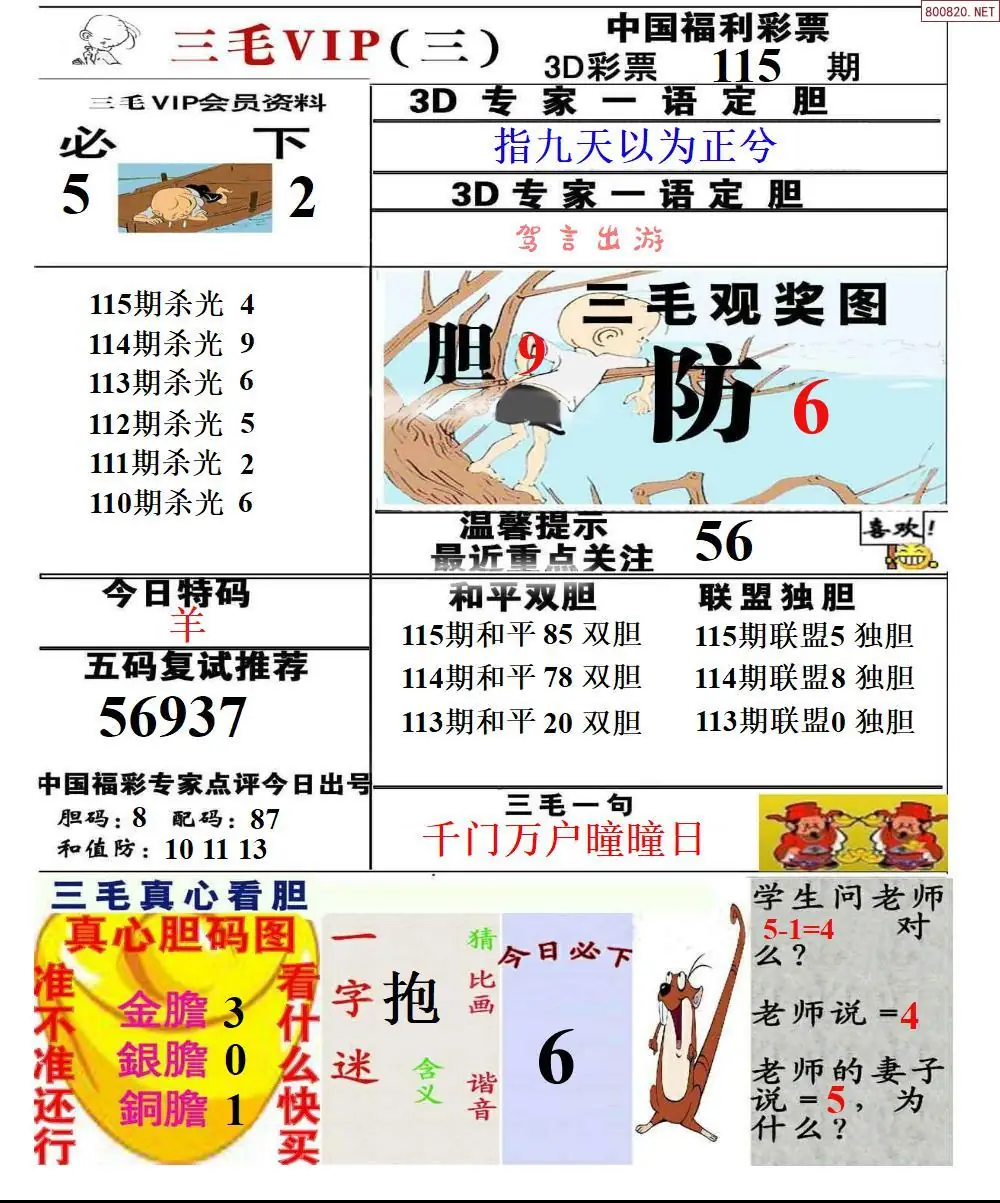 三毛VIP三版