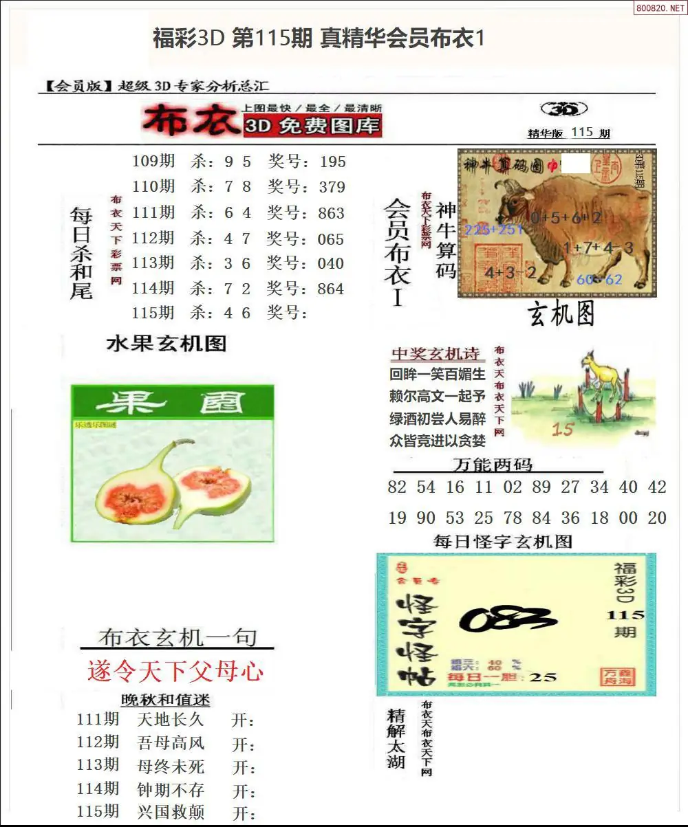 真精华会员布衣1