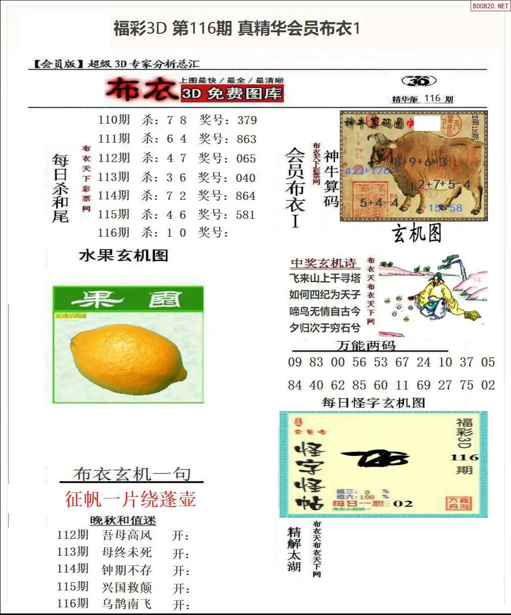真精华会员布衣1