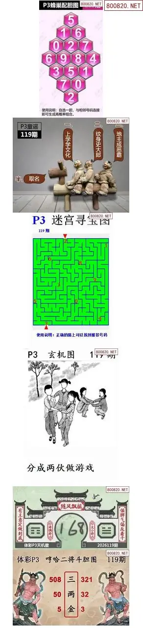 蜂巢天机图谜
