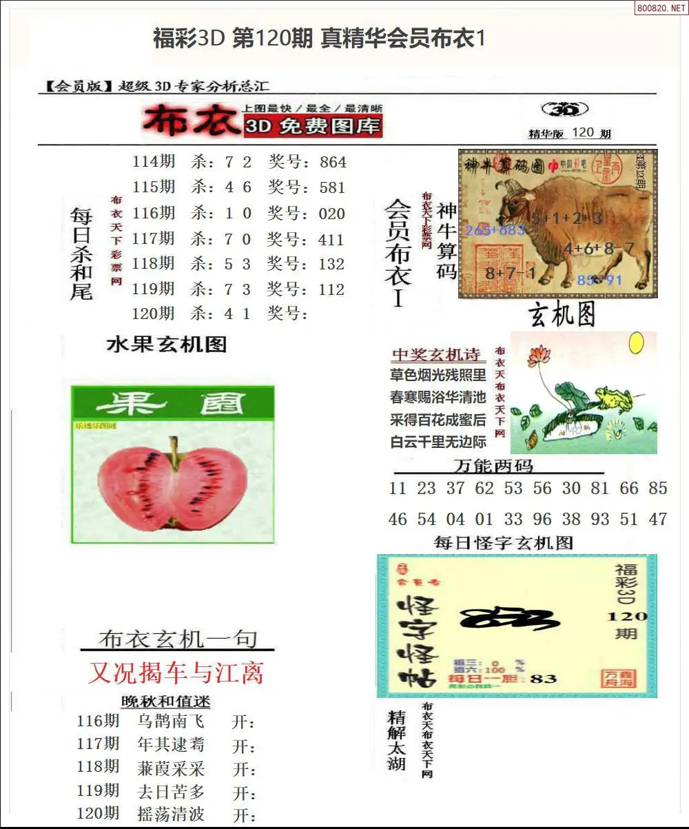 真精华会员布衣1