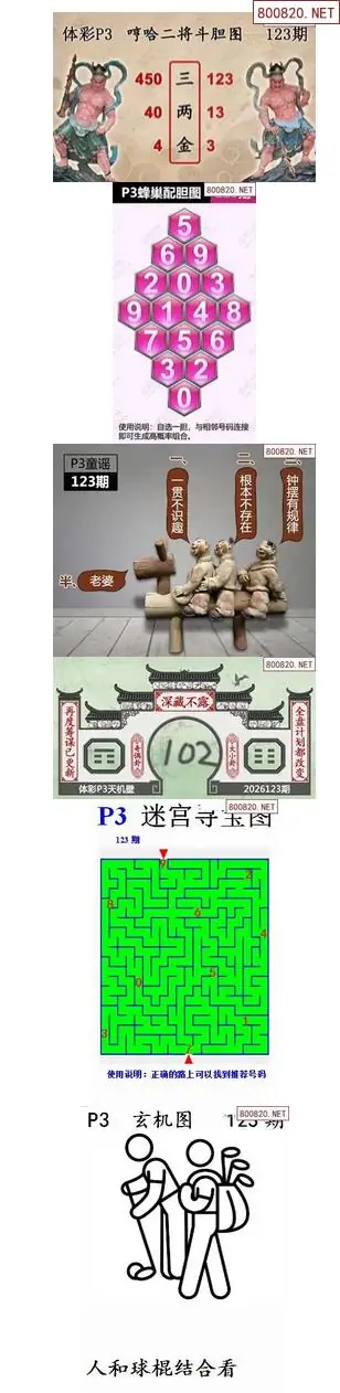 蜂巢天机图谜