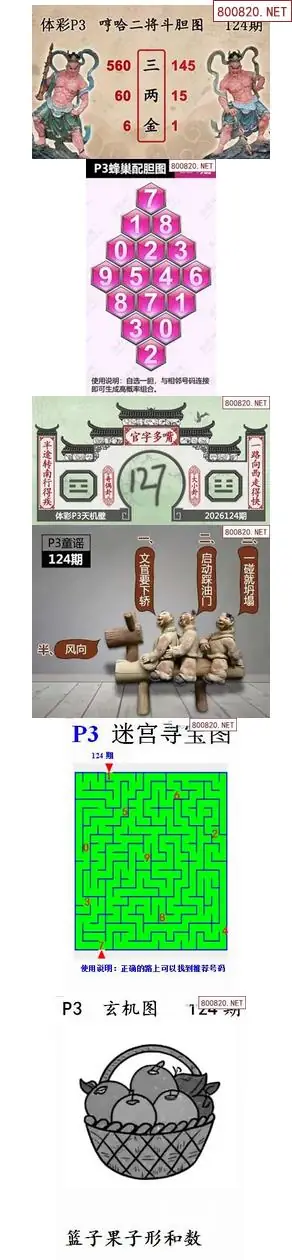蜂巢天机图谜