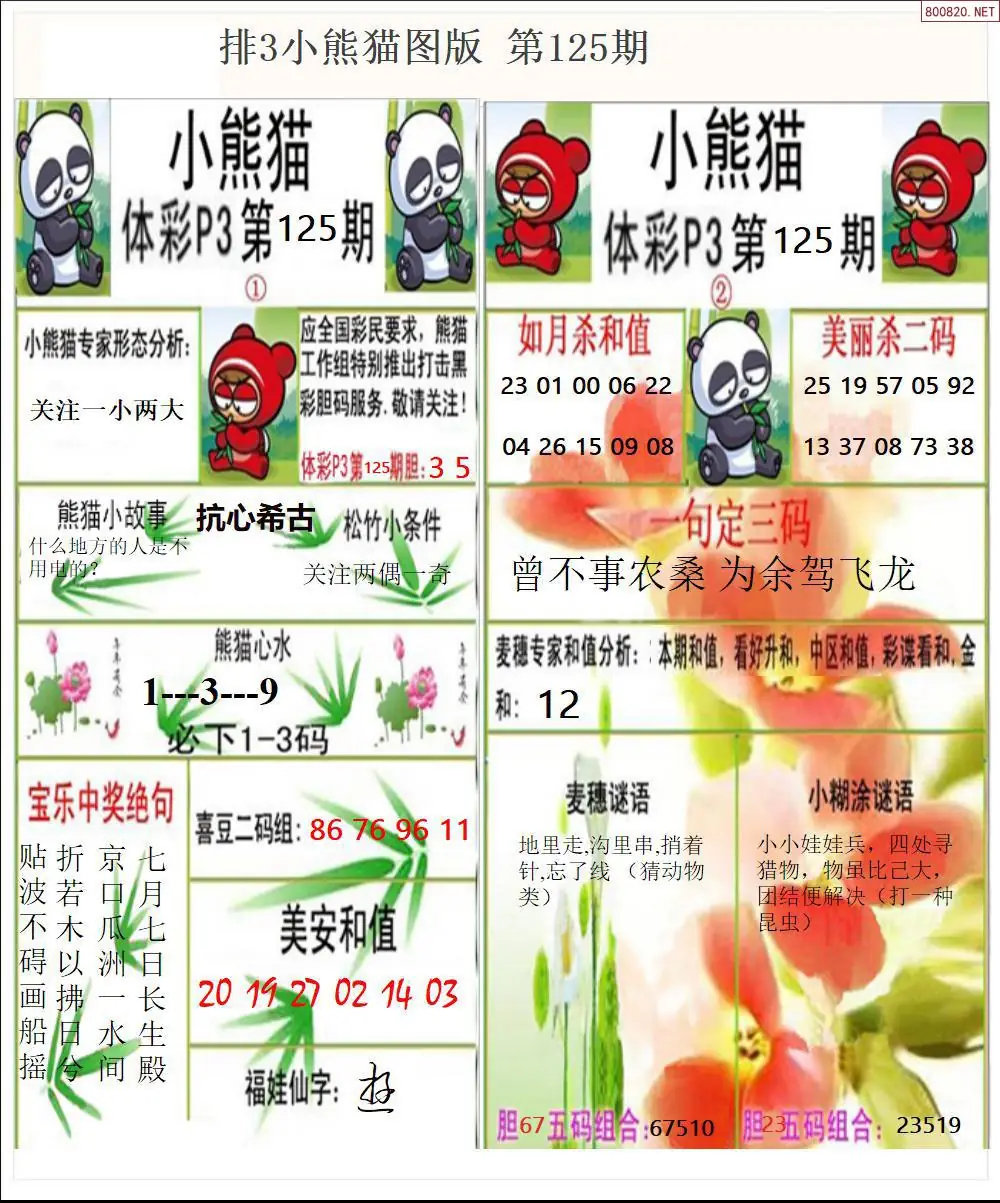 体彩p3小熊猫
