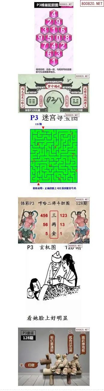 蜂巢天机图谜