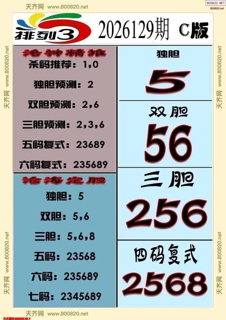 排三专家推荐C