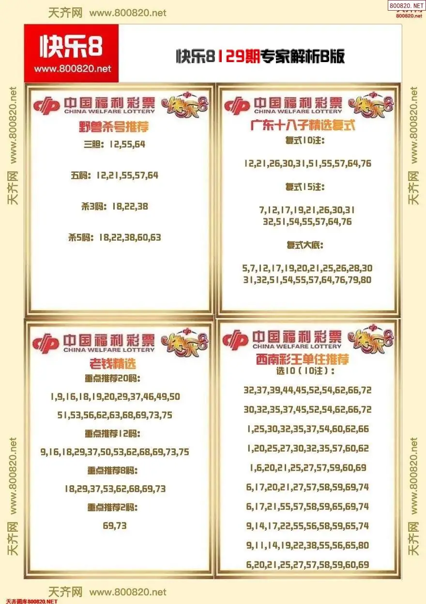 快乐8专家解析B版