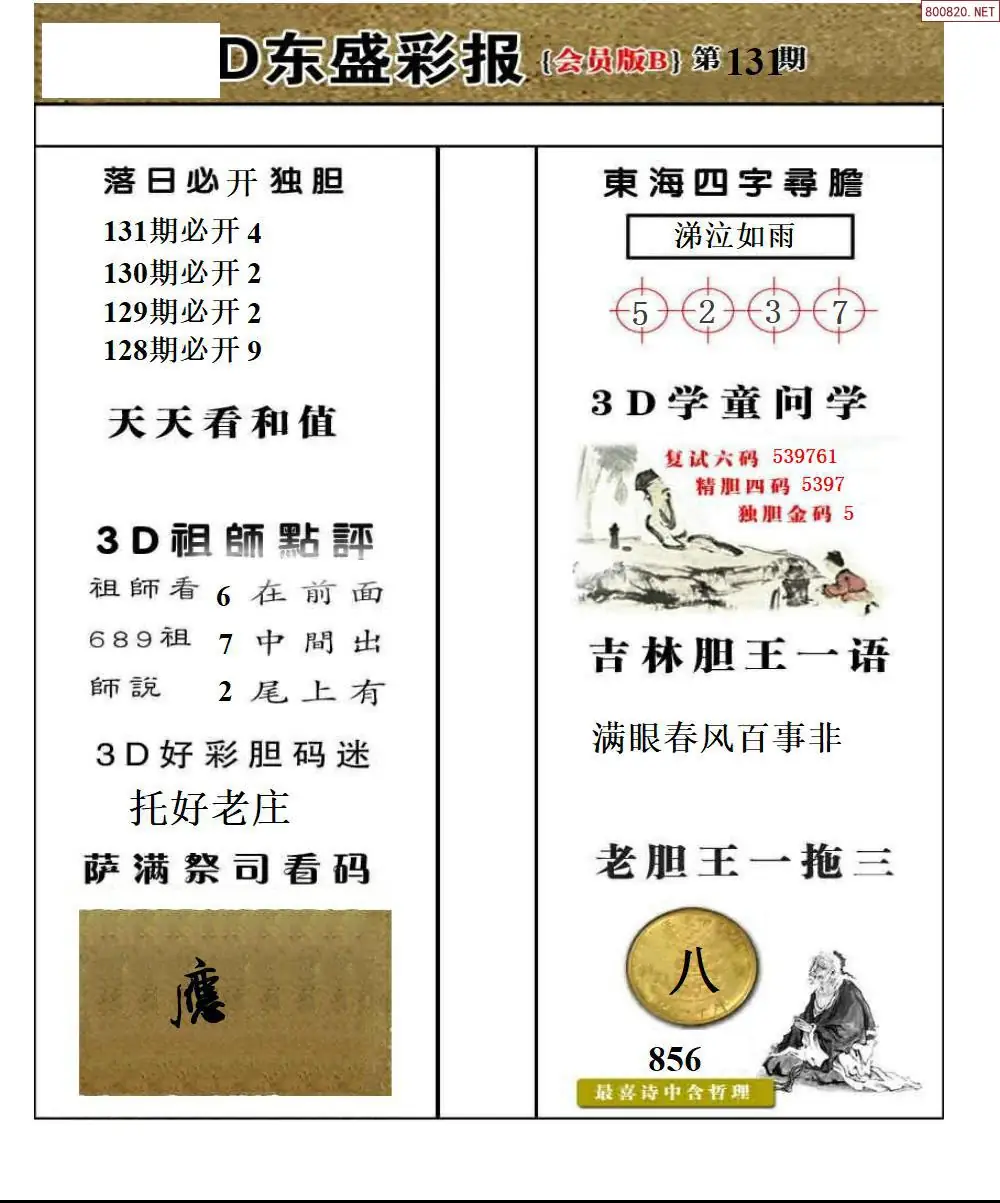 东盛VIP版B版