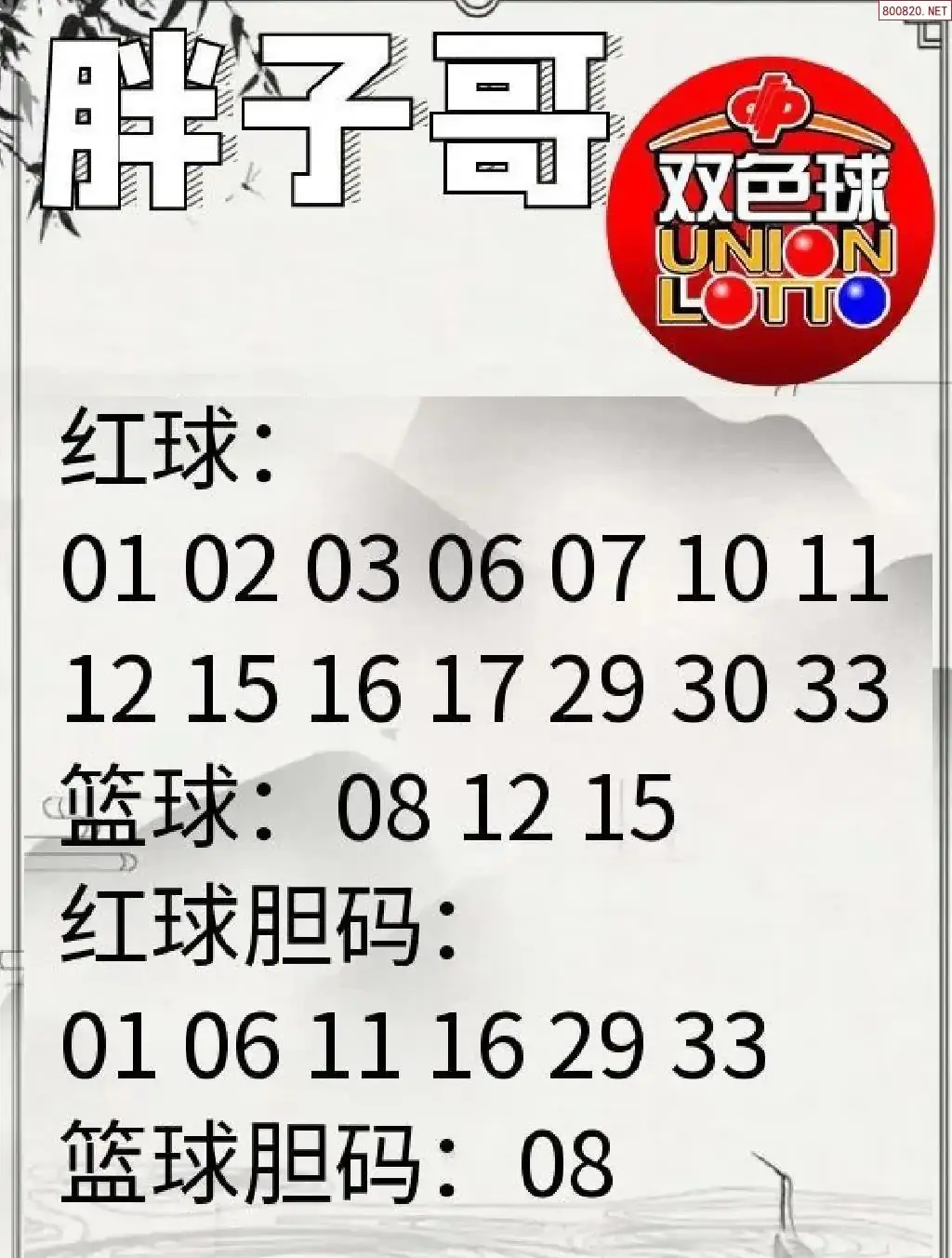 胖哥推荐