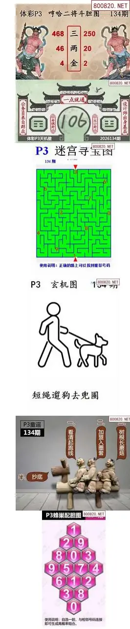蜂巢天机图谜