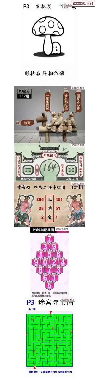 蜂巢天机图谜