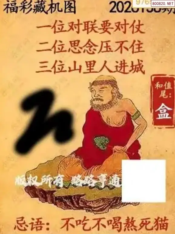 乐彩3D藏机图