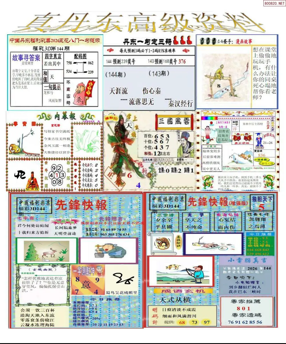 真丹东高级资料