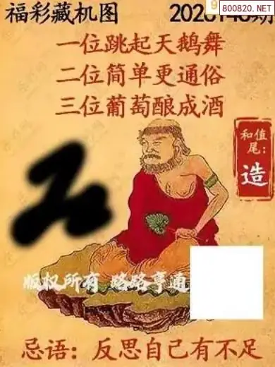 乐彩3D藏机图