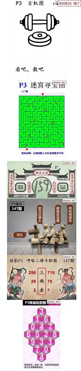 蜂巢天机图谜