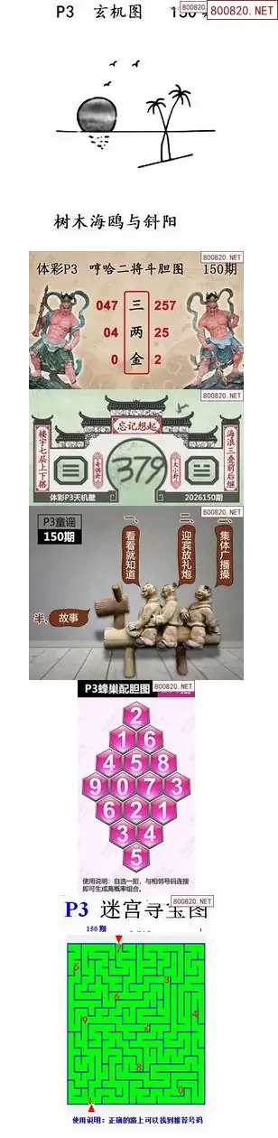 蜂巢天机图谜