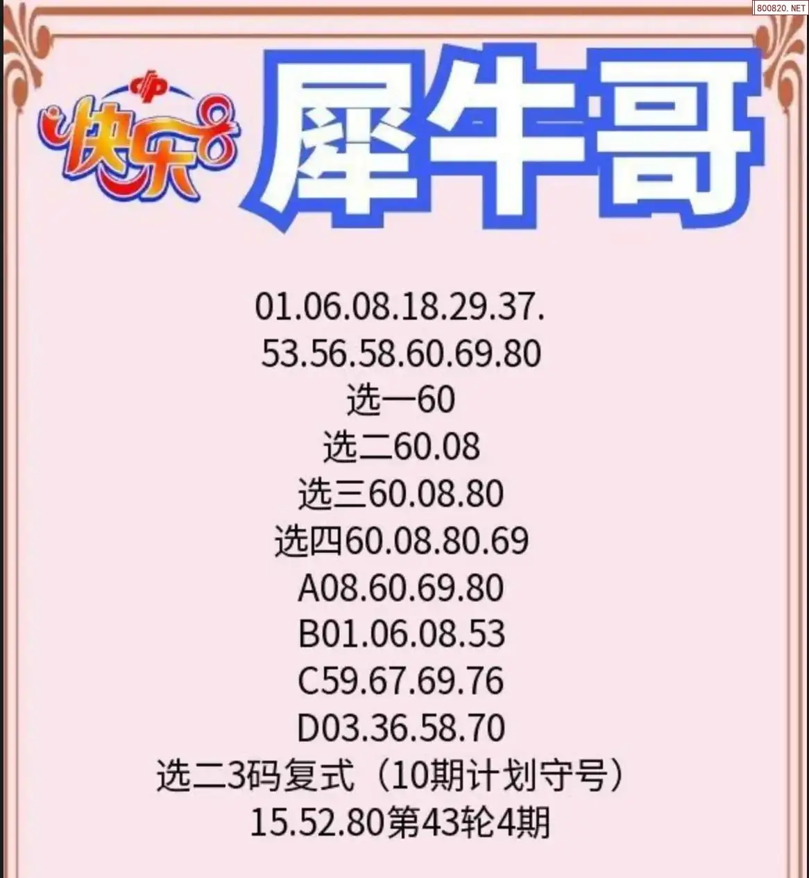 犀牛哥推荐