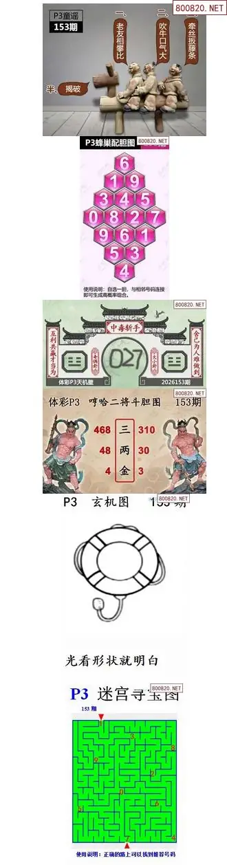 蜂巢天机图谜
