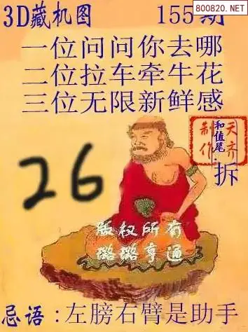 天齐3D藏机图