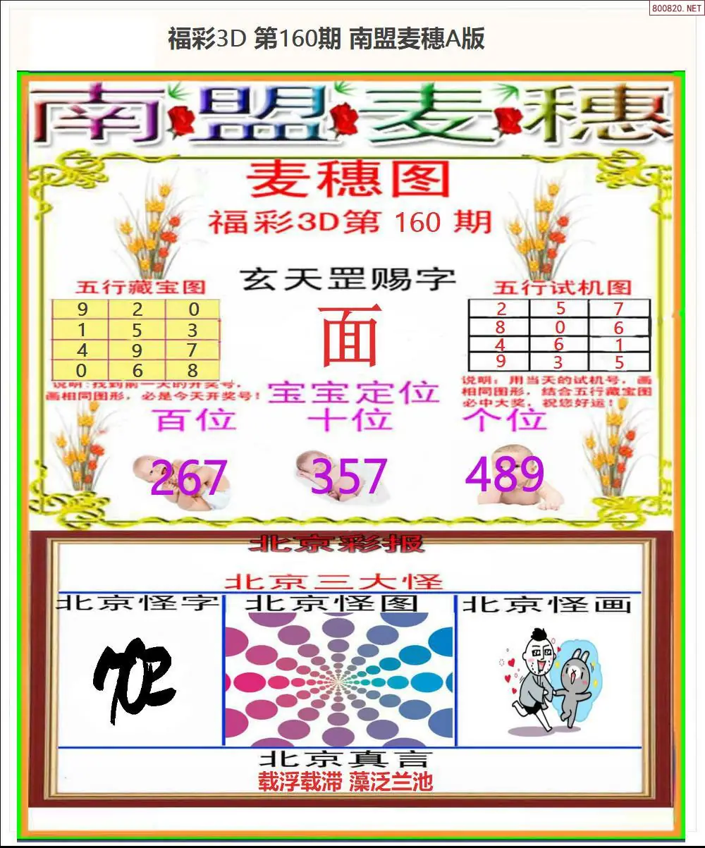 A181南盟麦穗A版
