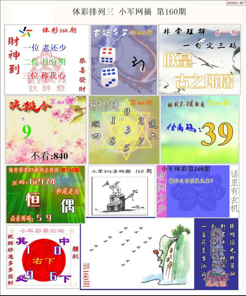 体彩P3小军网摘版
