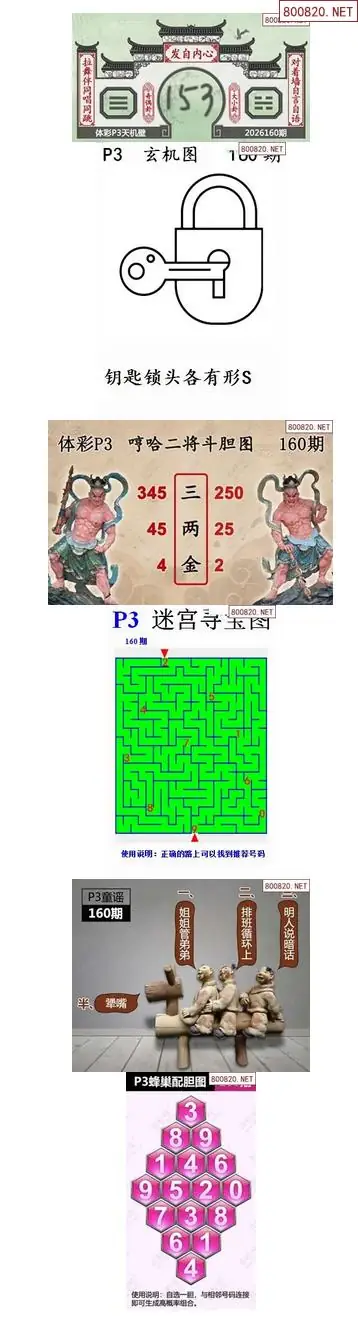 蜂巢天机图谜