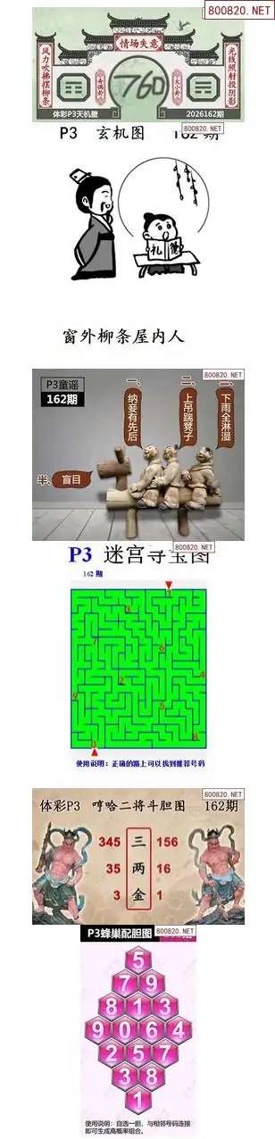 蜂巢天机图谜