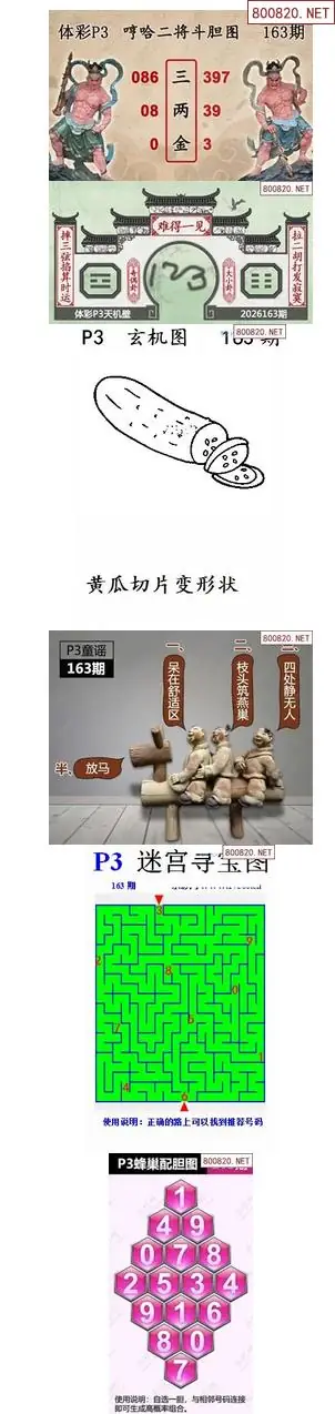 蜂巢天机图谜