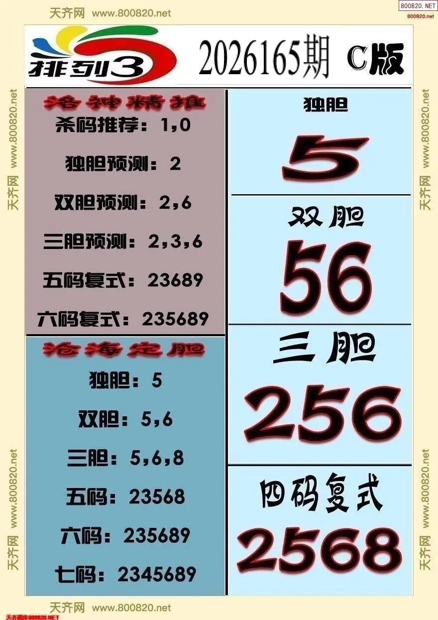 排三专家推荐C