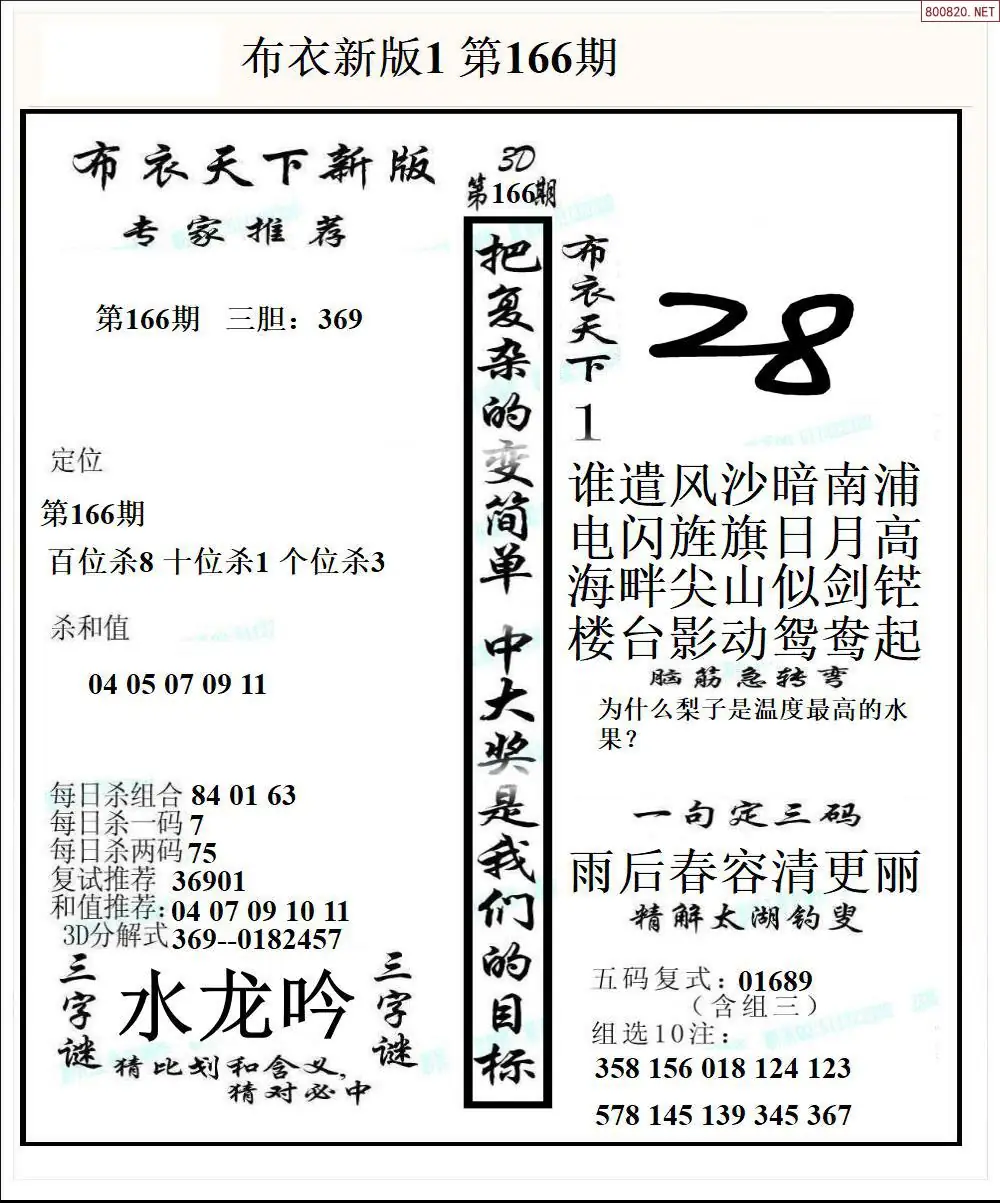 A51新版布衣1