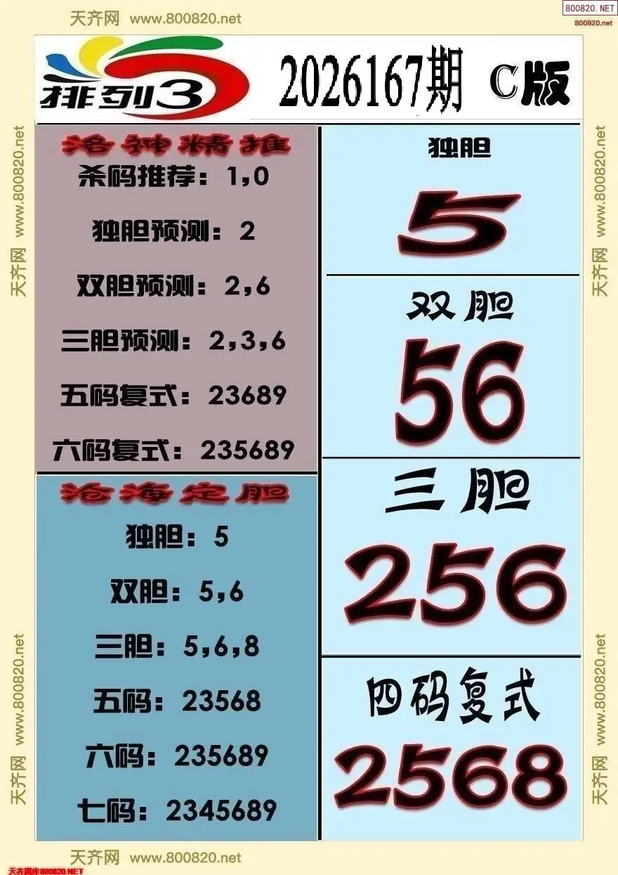 排三专家推荐C
