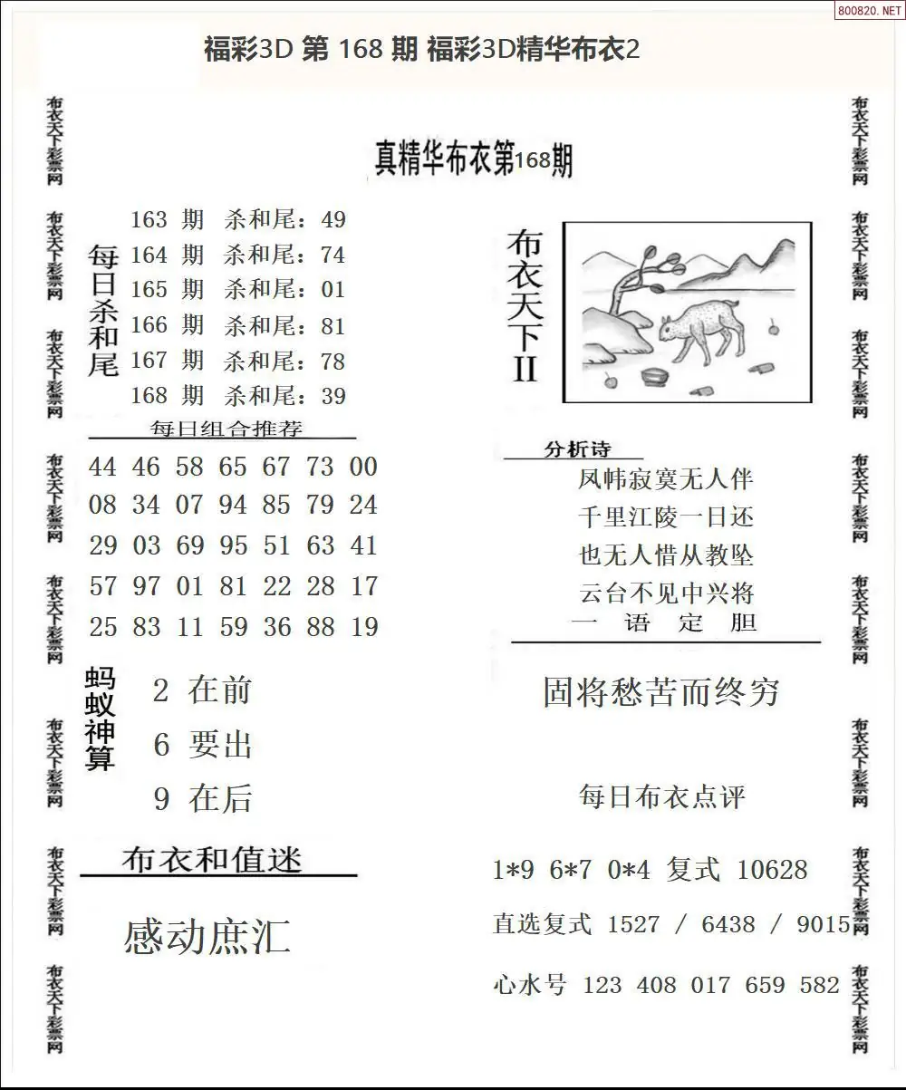 A34精华布衣2