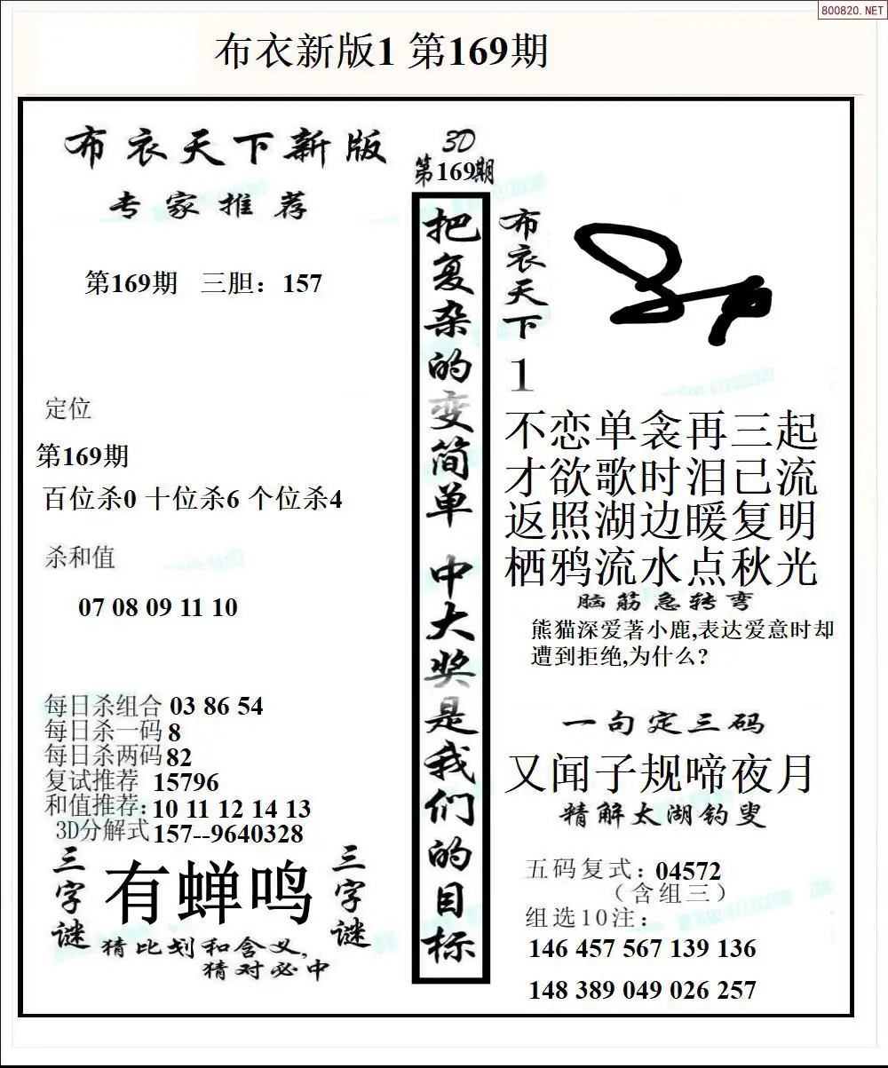 A51新版布衣1