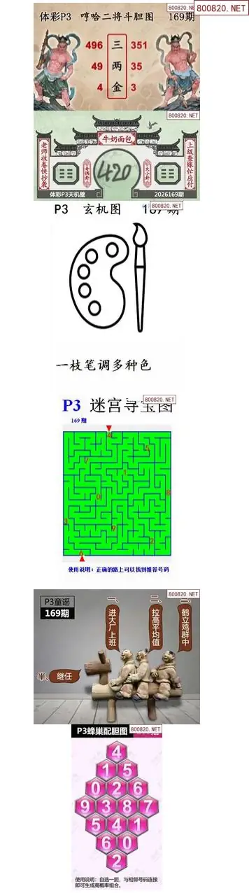 蜂巢天机图谜