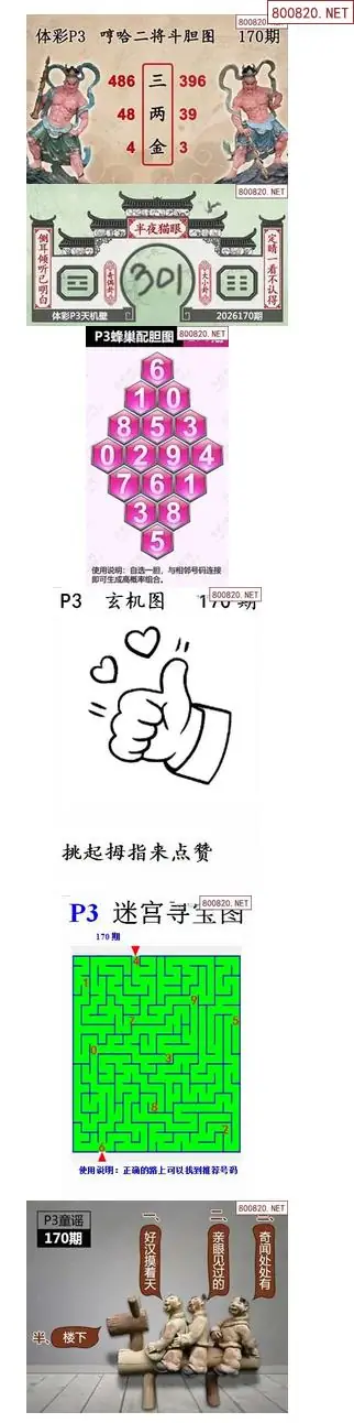 蜂巢天机图谜