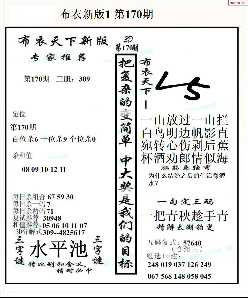 A51新版布衣1