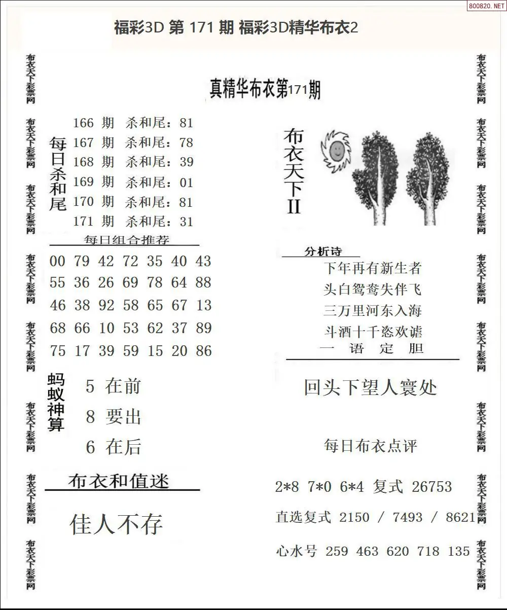 A34精华布衣2