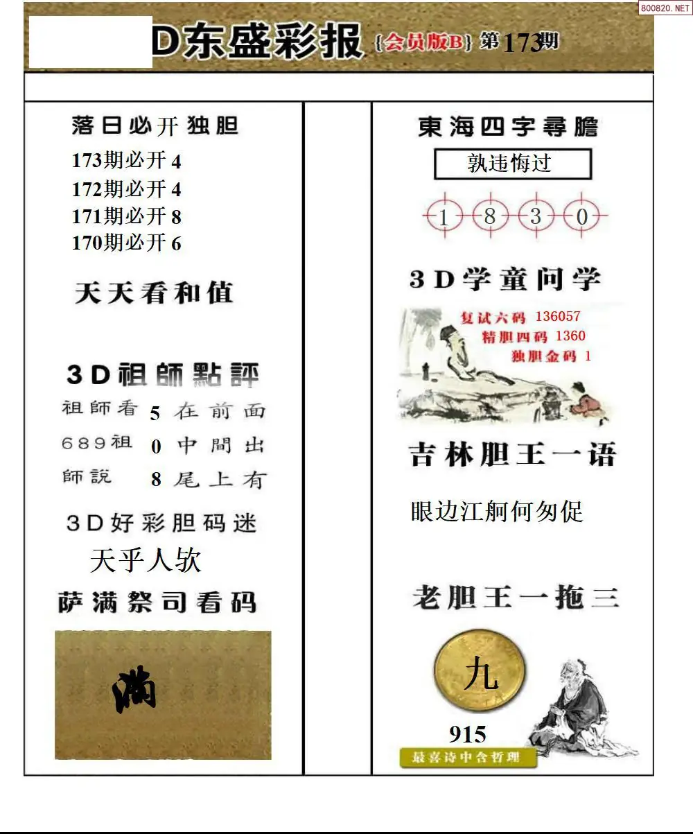 东盛VIP版B版