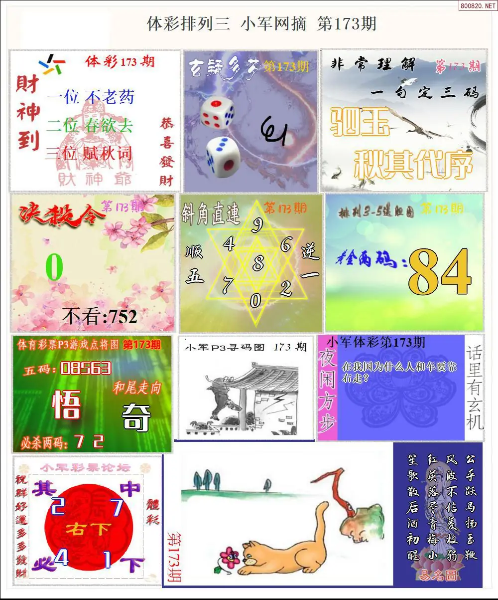 体彩P3小军网摘版